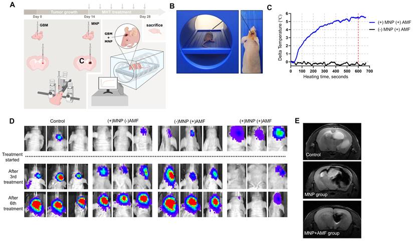 Theranostics Image