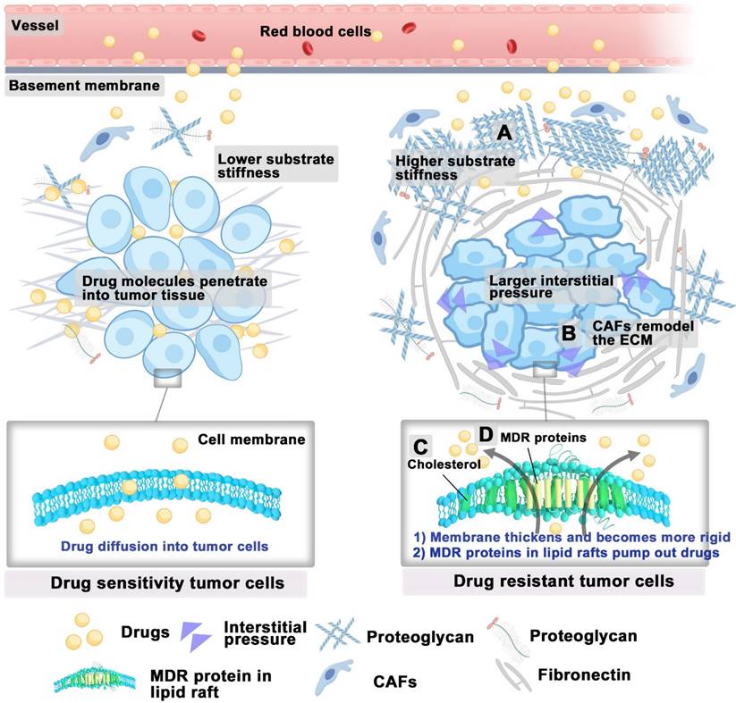 Theranostics Image