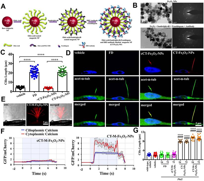 Theranostics Image