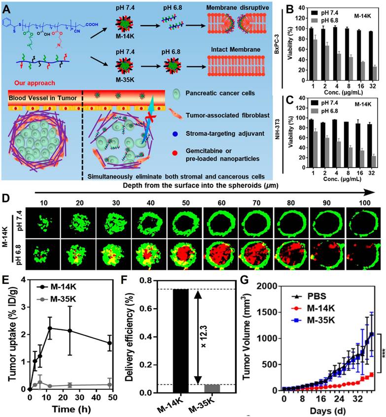 Theranostics Image