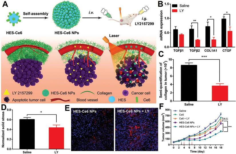 Theranostics Image