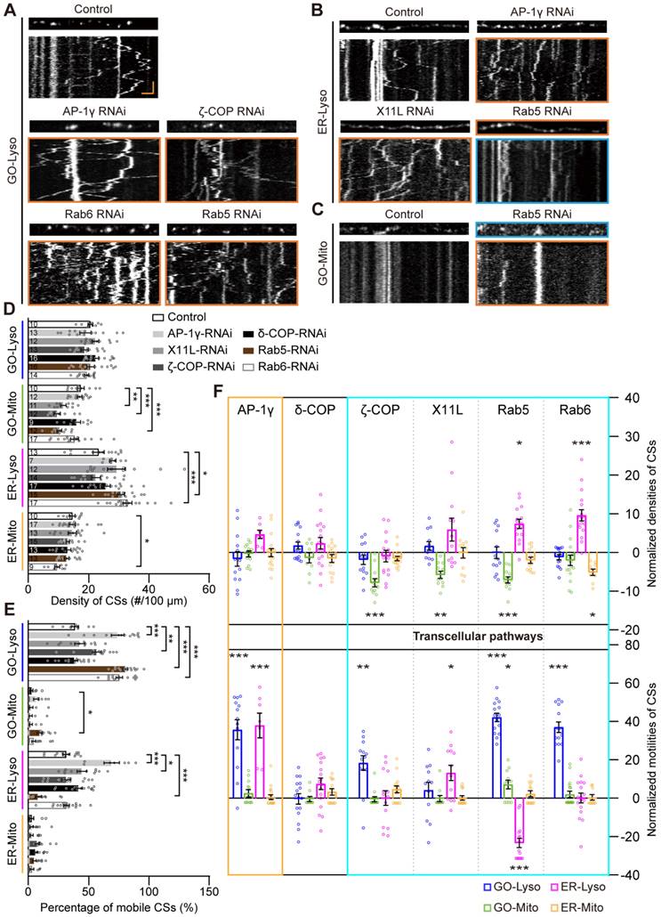 Theranostics Image