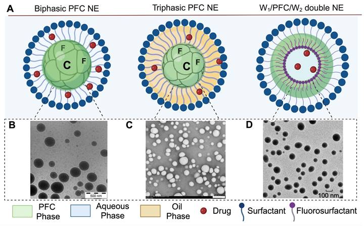 Theranostics Image