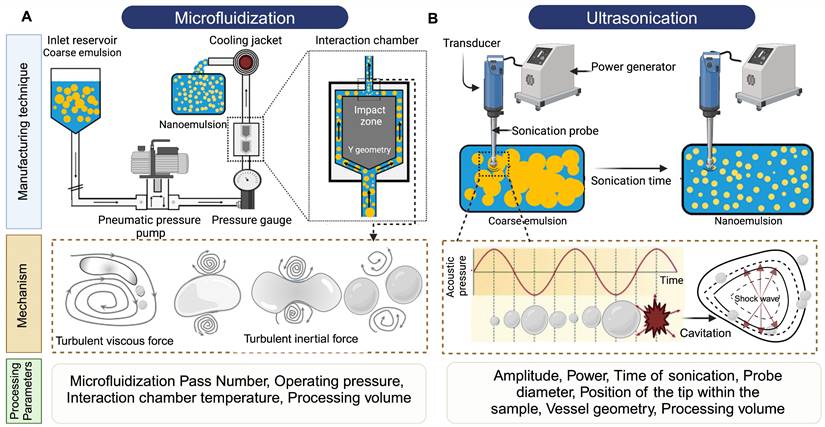 Theranostics Image