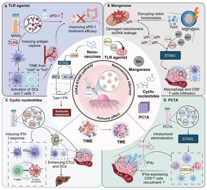 Theranostics Image