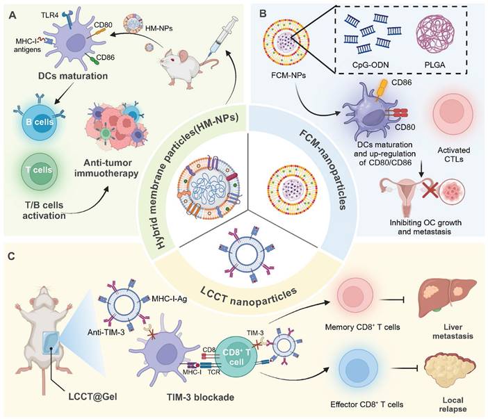 Theranostics Image