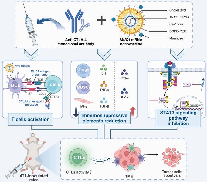 Theranostics Image