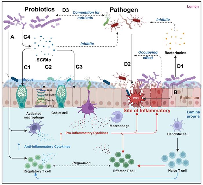 Theranostics Image