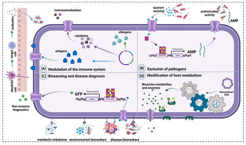 Theranostics Image