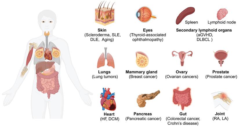 Theranostics Image