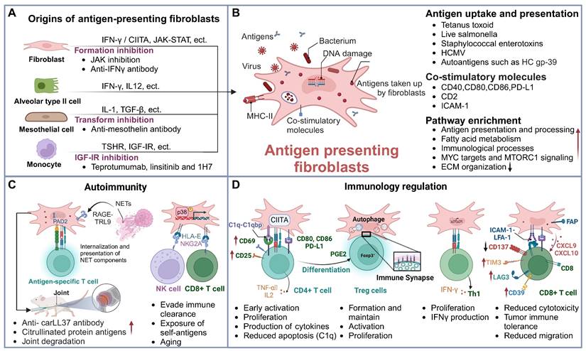 Theranostics Image