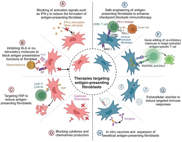 Theranostics Image