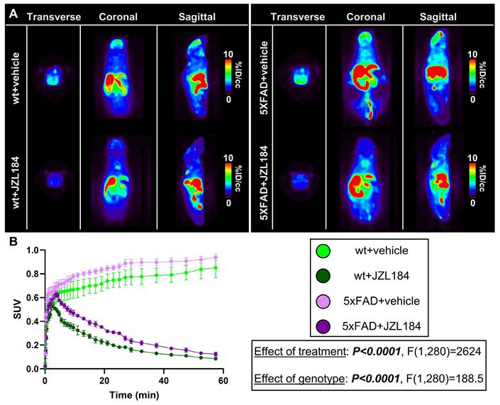 Theranostics Image