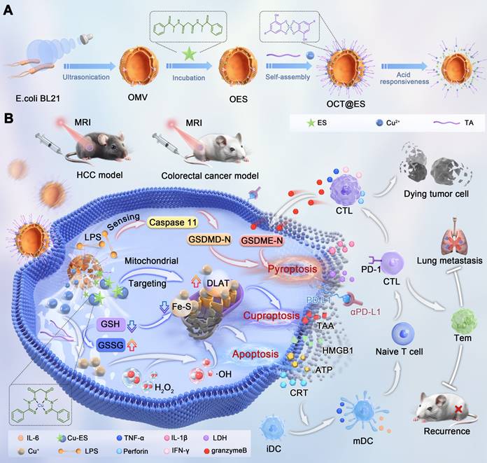 Theranostics Image