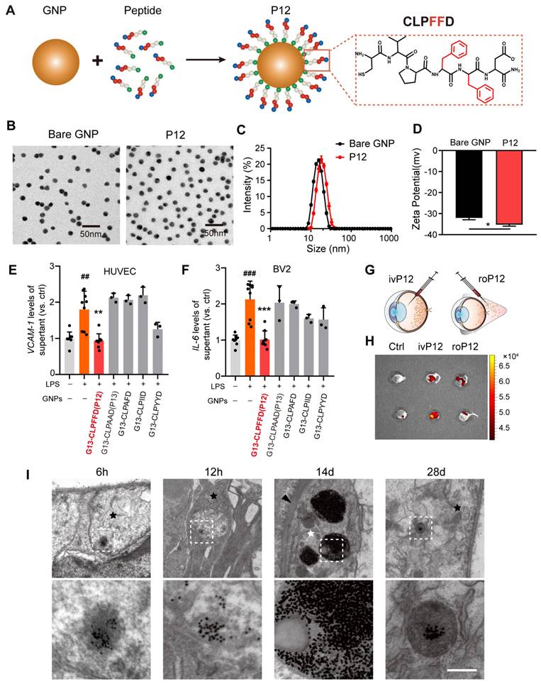 Theranostics Image