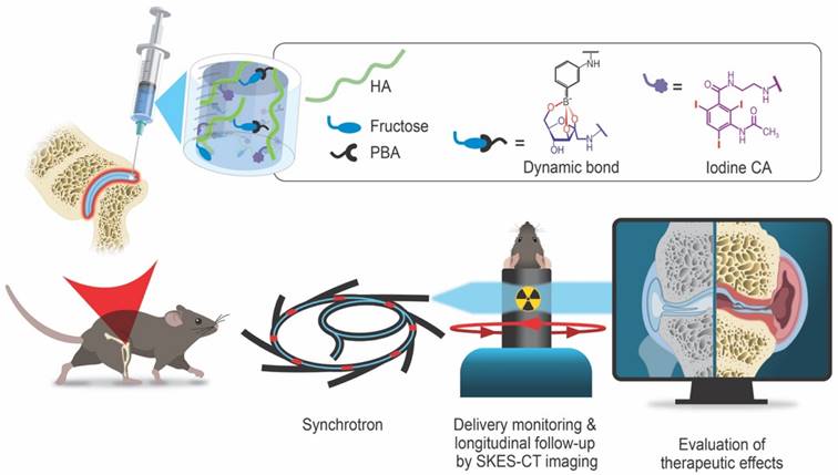 Theranostics Image