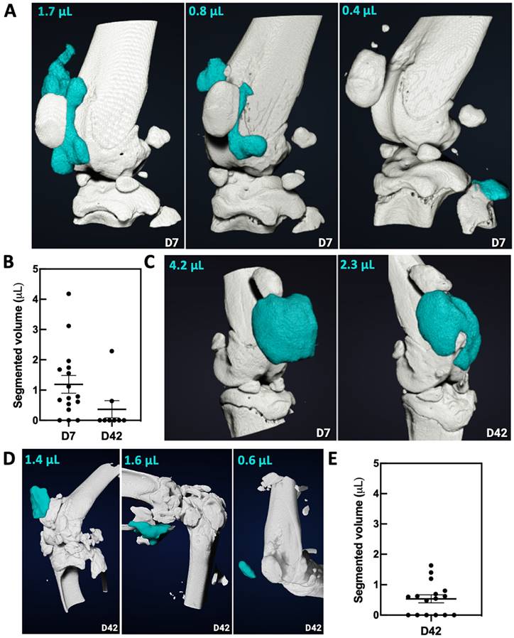 Theranostics Image