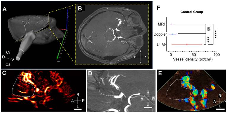 Theranostics Image