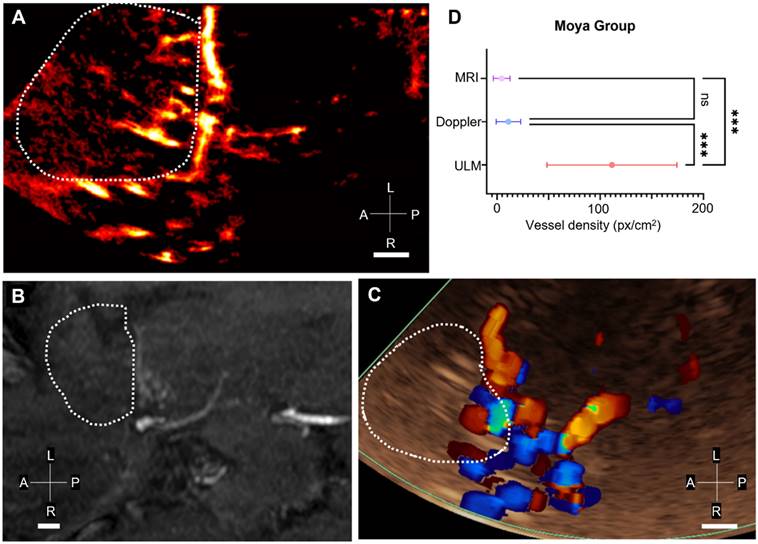 Theranostics Image