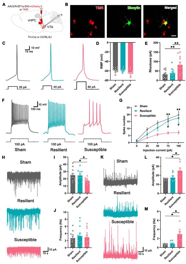 Theranostics Image