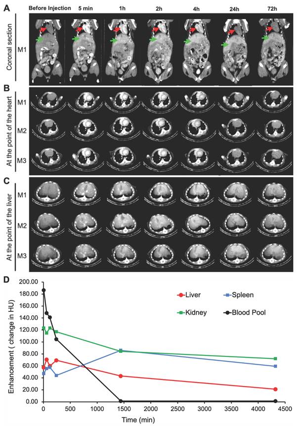 Theranostics Image