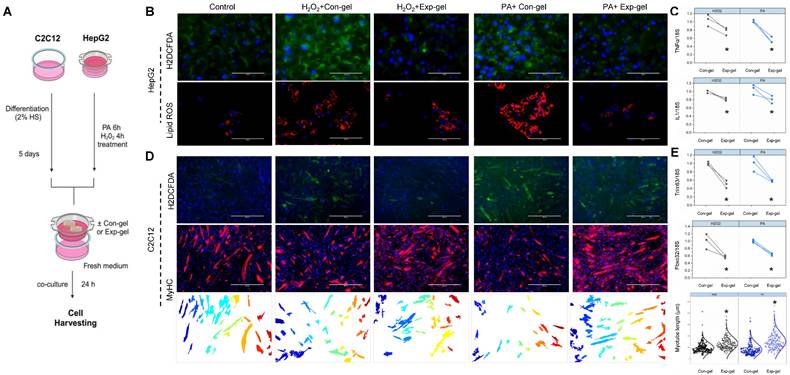 Theranostics Image