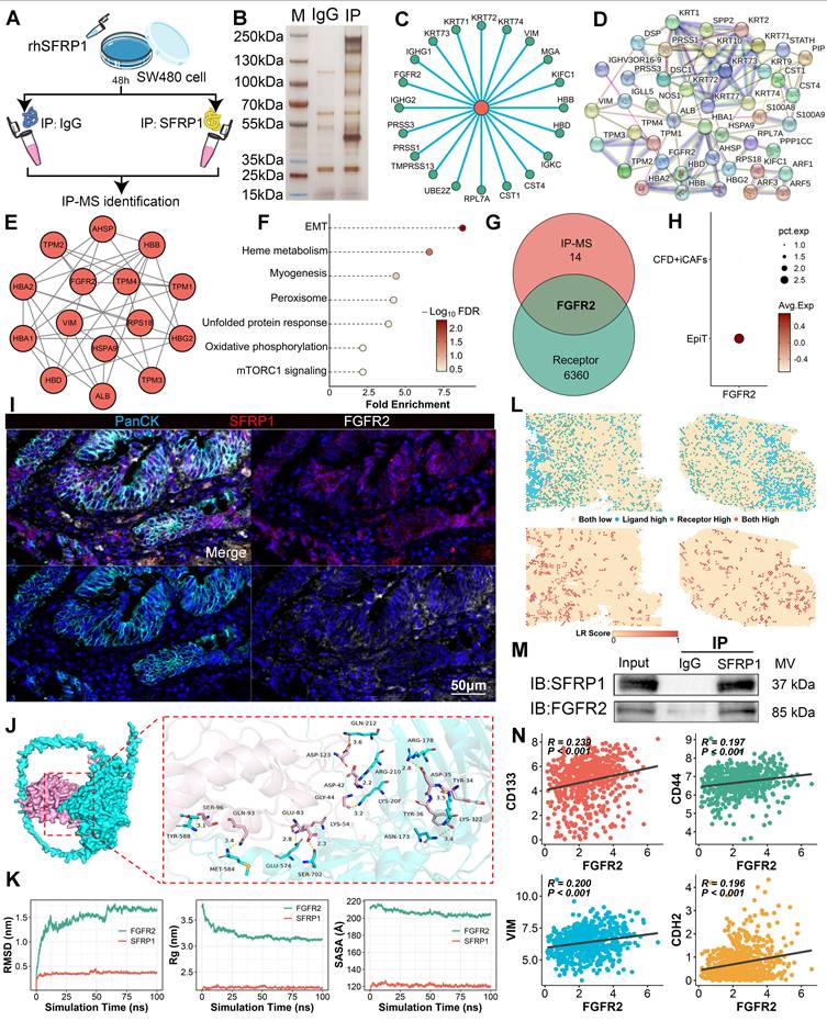 Theranostics Image