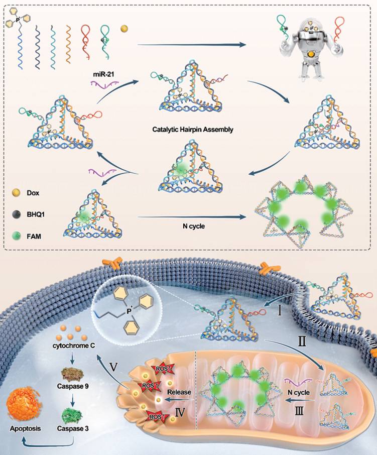 Theranostics Image