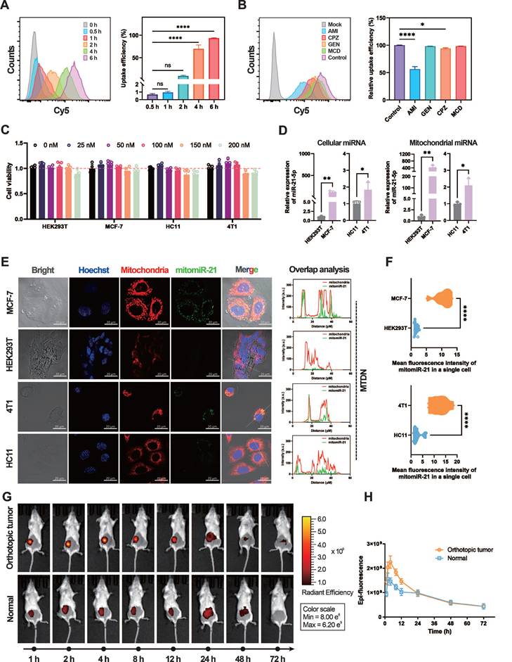 Theranostics Image