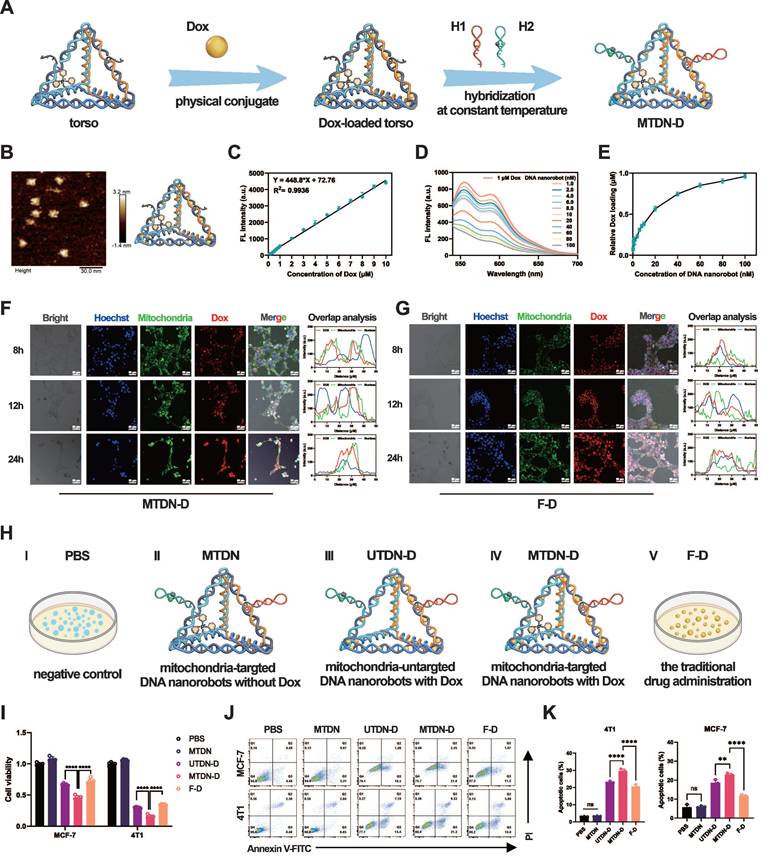 Theranostics Image