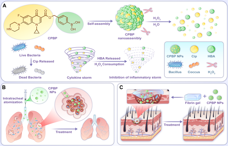 Theranostics Image