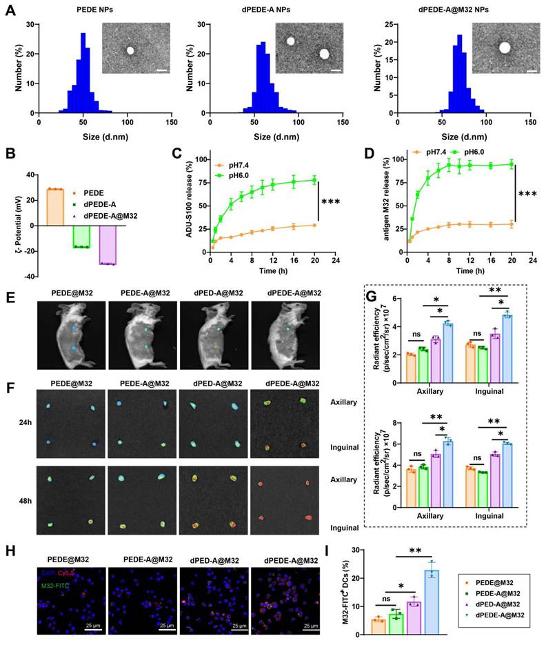 Theranostics Image