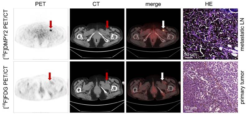 Theranostics Image