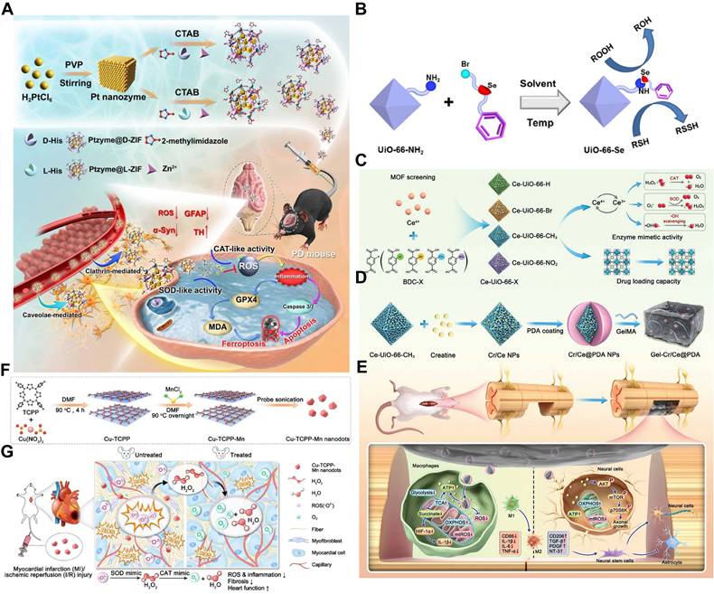Theranostics Image