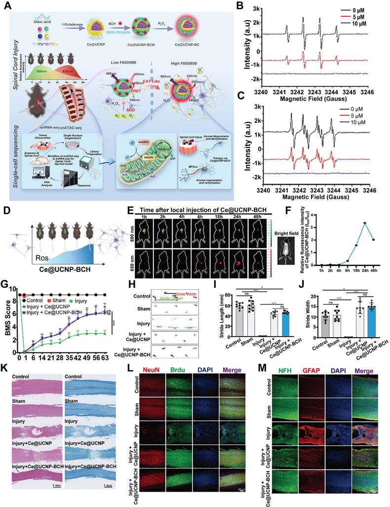 Theranostics Image