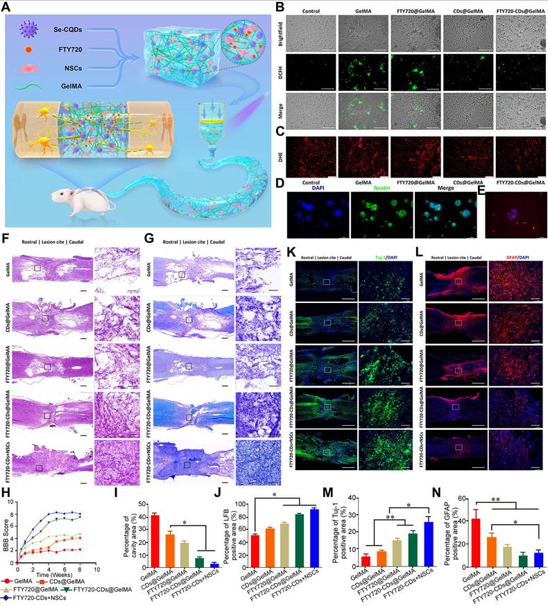 Theranostics Image