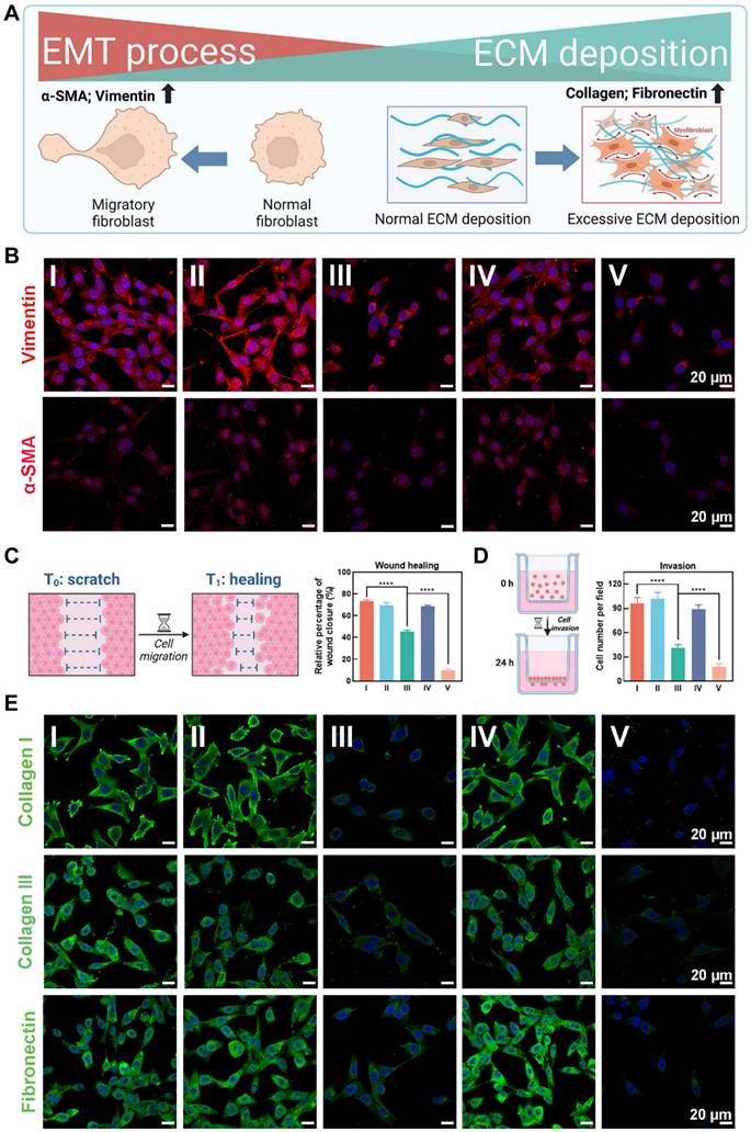 Theranostics Image
