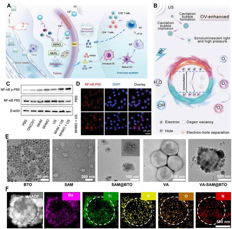 Theranostics Image