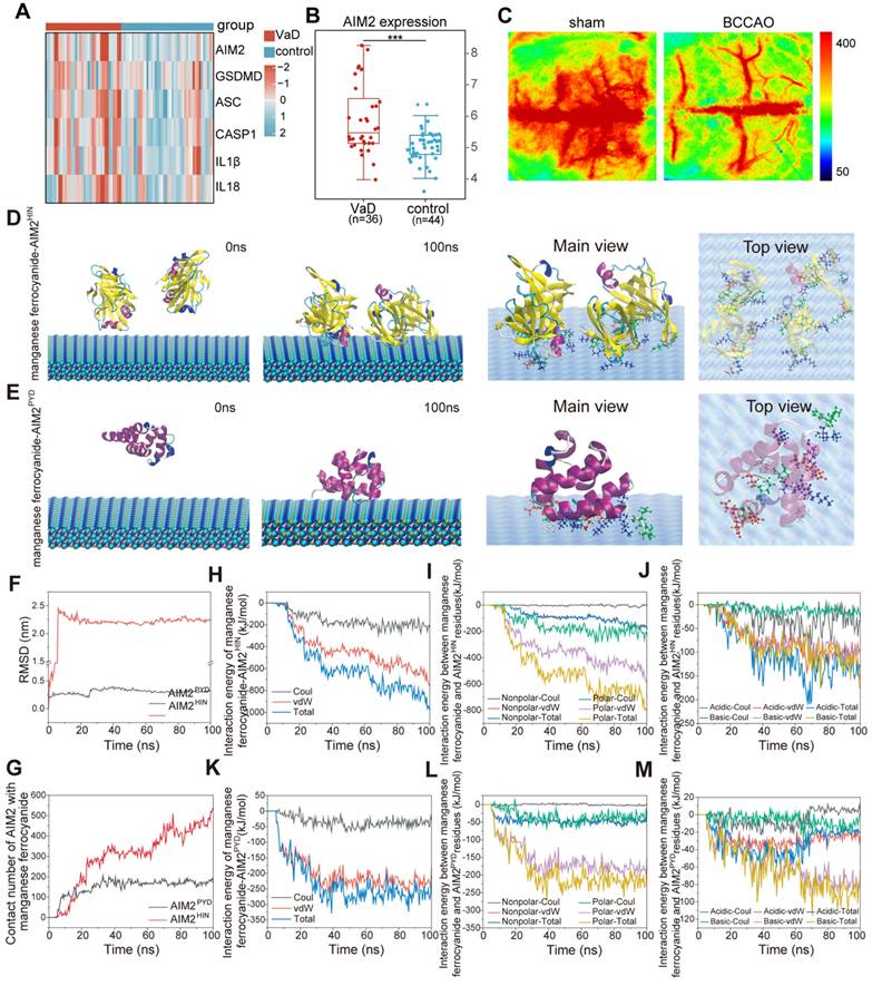 Theranostics Image