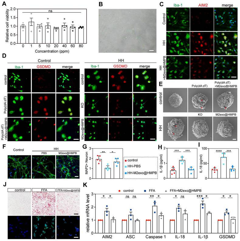 Theranostics Image