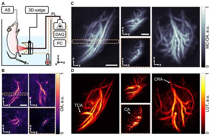 Theranostics Image