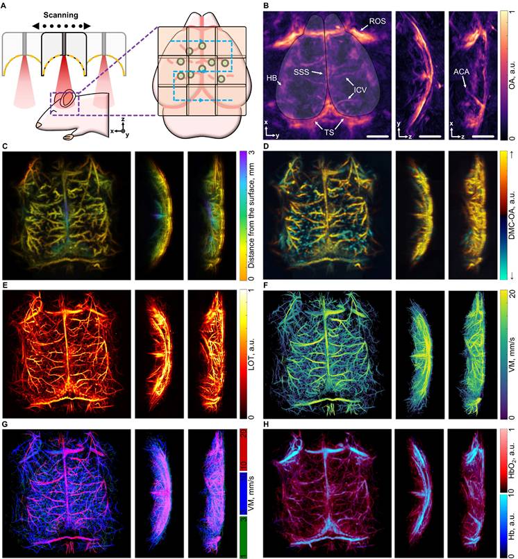 Theranostics Image