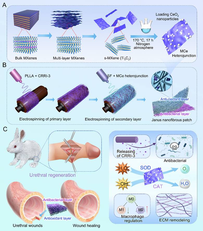 Theranostics Image