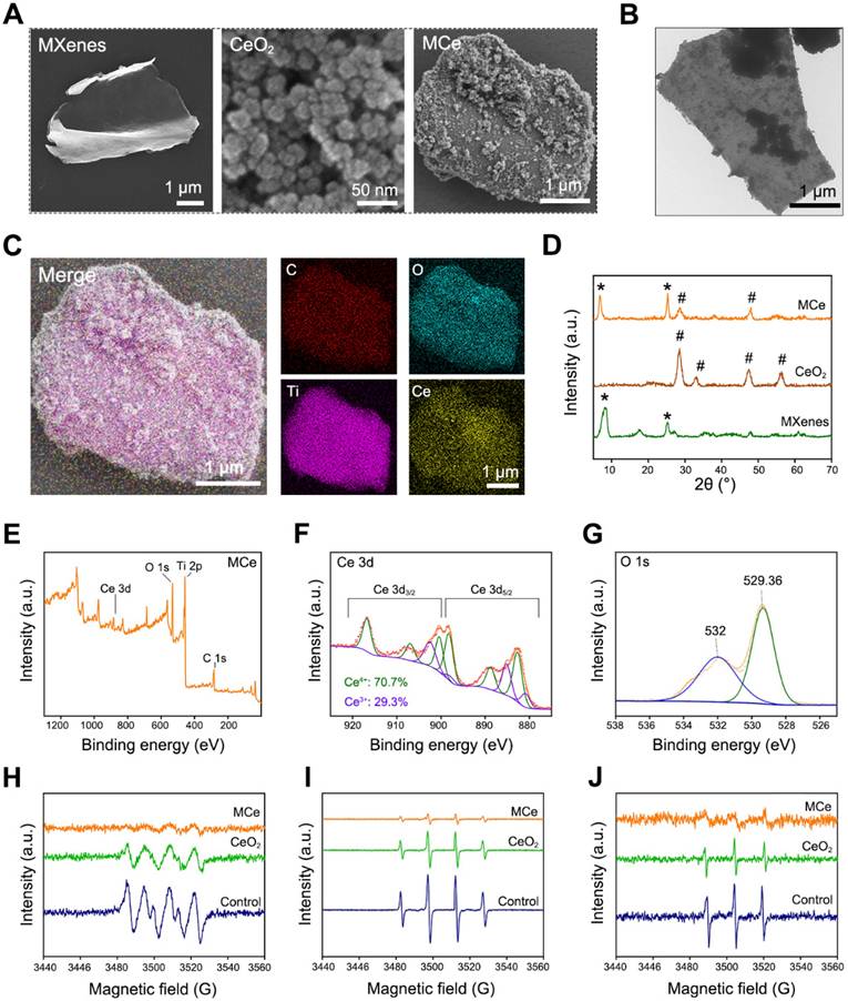 Theranostics Image