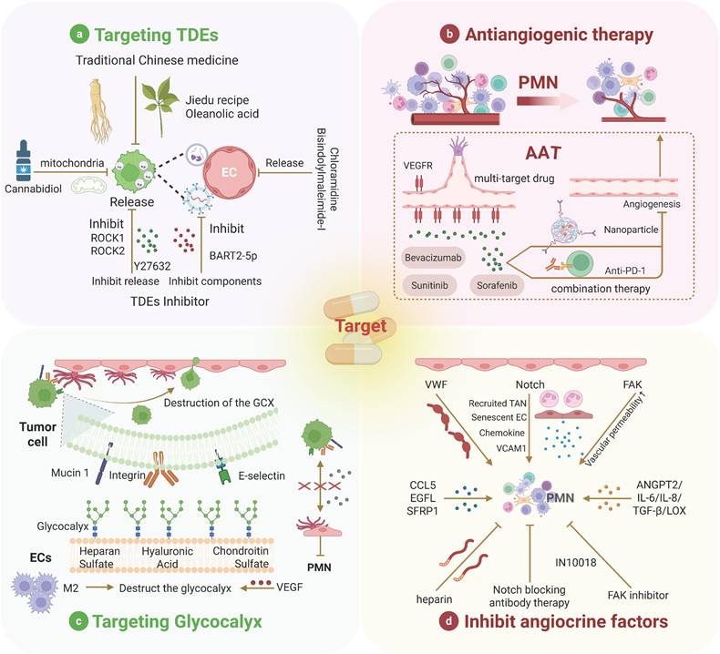 Theranostics Image