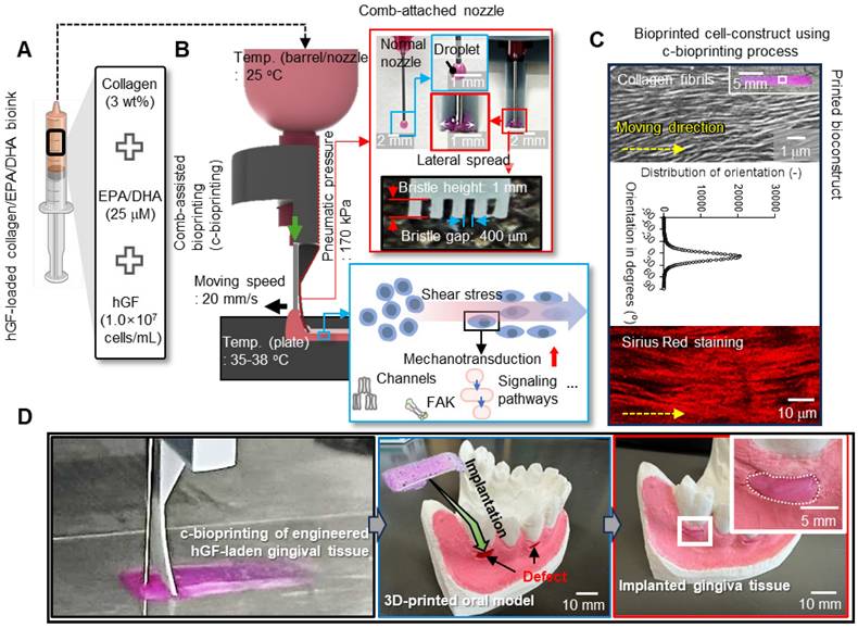 Theranostics Image