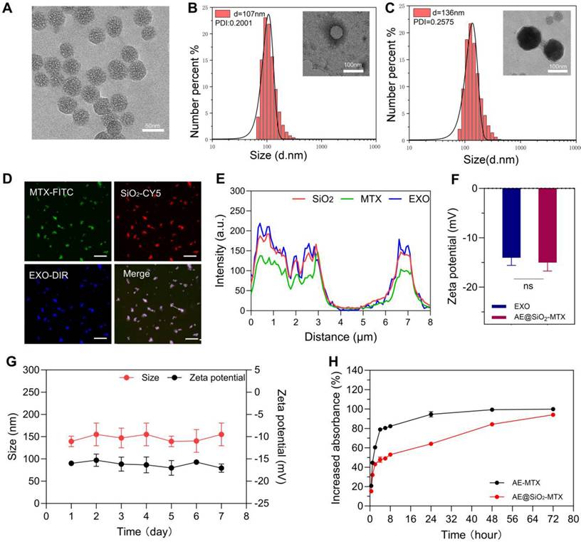 Theranostics Image