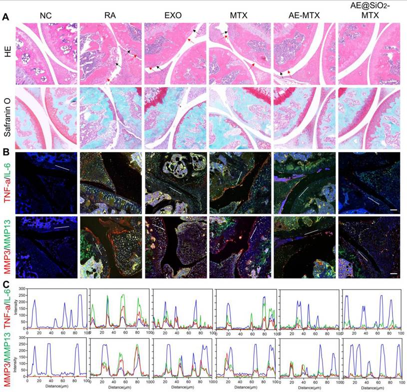 Theranostics Image