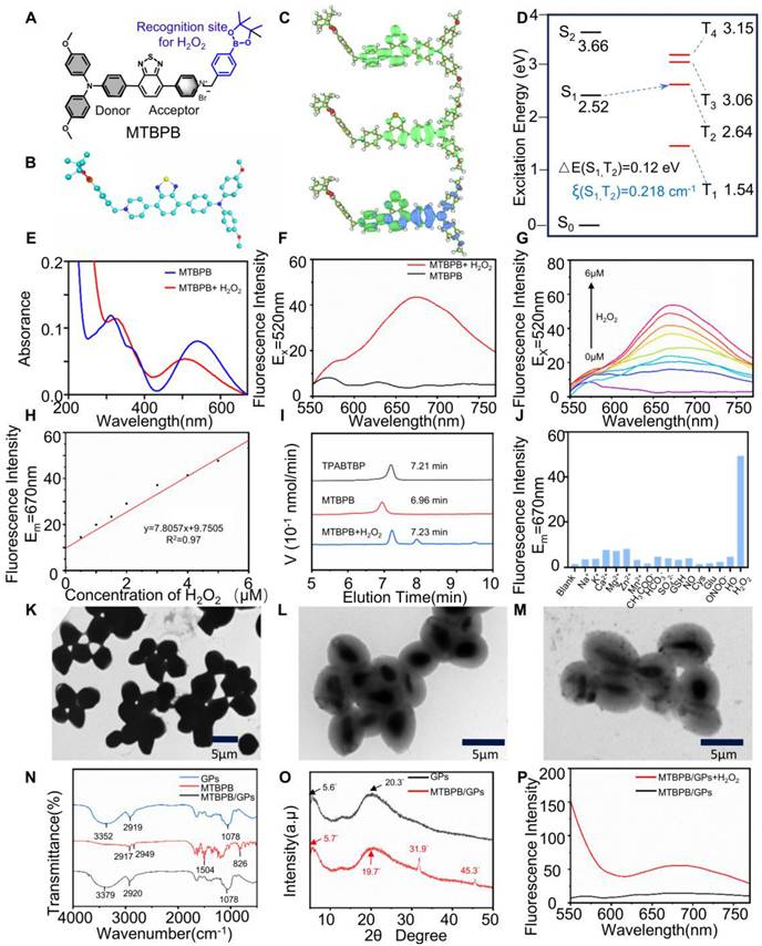 Theranostics Image