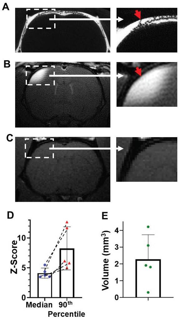 Theranostics Image